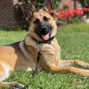 Meet your Posher, Jenni